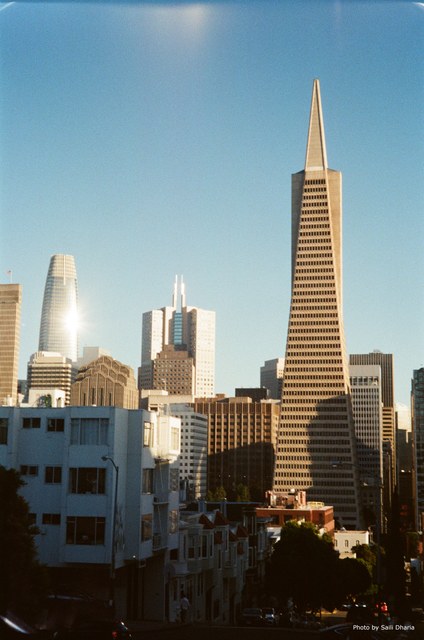 Postcard Set #1 image 4